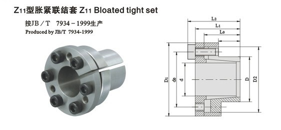 Z11ͽ